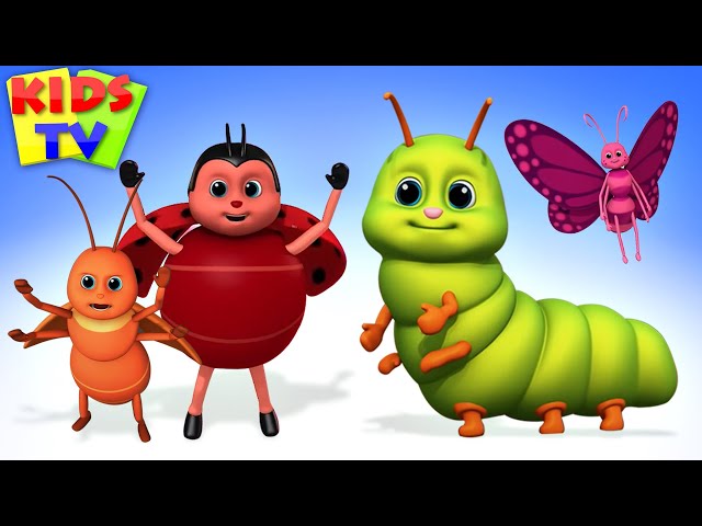 Bugs Bugs Bugs Song | Insect song | Creepy Crawly Bugs from Kids Tv class=