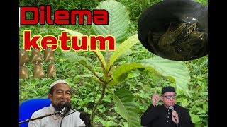 Dilema KETUM | racun atau penawar ? | akta racun  | pandangan polis,  pengkaji dan ustaz