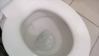 SEU VASO SANITÃRIO LIMPO SEMPRE COM ESSE TRUQUE MÃGICO