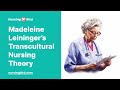 Madeleine Leininger S Transcultural Nursing Theory Essay Example 