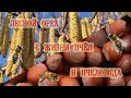 Лесной орех в жизни пчёл и пчеловода. | Hazelnut in the life of bees and beekeepers.