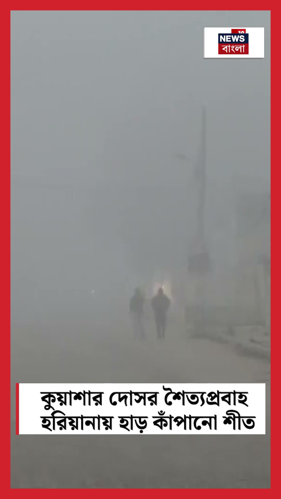 কুয়াশার দোসর শৈত্যপ্রবাহ! Hariyanaয় হাড় কাঁপানো শীত | N18S #shorts