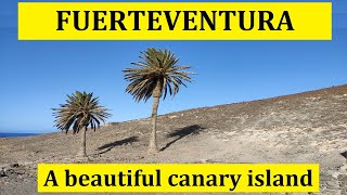 Holiday in Fuerteventura | Morro Jable