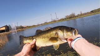 Big Dark Green Bass Chokes Chatterbait