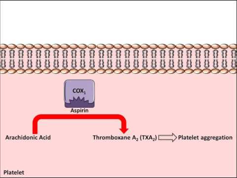 वीडियो: क्या एस्पिरिन प्लेटलेट फंक्शन को रोकता है?