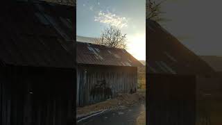 Sjenica - Bijelo Polje Preko Bara, Visočke, Vrbnice I Kumanice