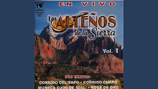 Video thumbnail of "los altenos de la sierra - Te He Prometido"