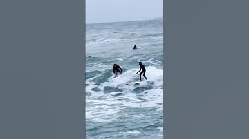 LOCALISM. Surfers FIGHT at wannabe Snapper Rocks.