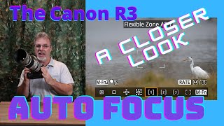 Canon R3 Auto Focus -  a Closer Look