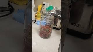 Full Spectrum Sea Moss Recipe! Please like and follow!!