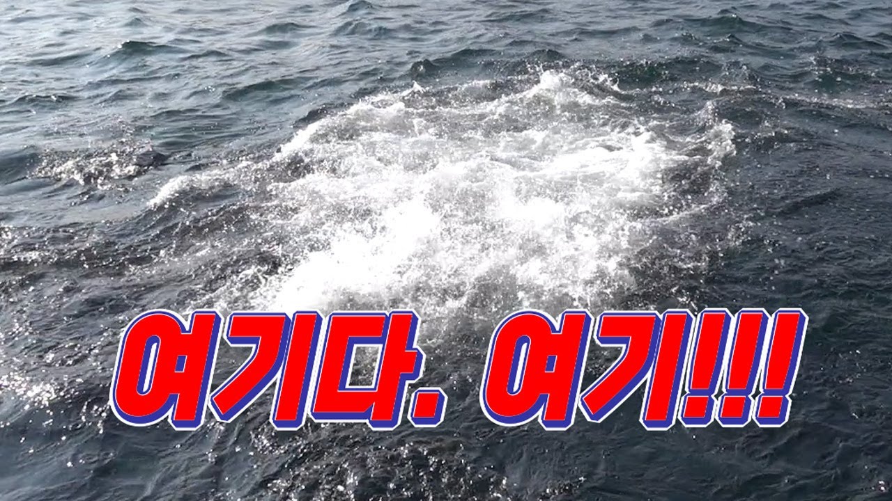 동해 미터급 고기가 넣으면 문다!! 고등어를 넣어보자!/ Fresh fishing with 100% success rate!