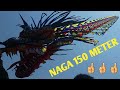 Keseruan Menerbangkan Layangan NAGA Panjang 150 Meter