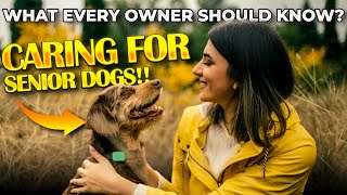 Caring For Senior Dogs. What Every Owner Should Know? by DogTalk 362 views 9 months ago 7 minutes, 1 second