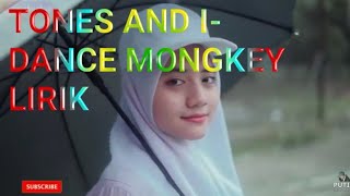 Tones and i-dance monkey cover