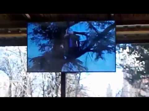 რესტორანში დდ