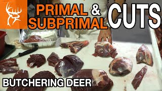 Butchering a Deer | Primal & Subprimal Cuts