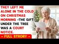 They Left Me Alone In The Cold On Christmas Morning — The Gift Under The Tree Was A Court Notice
