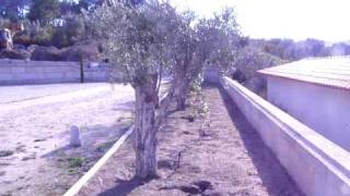 Freixiosa , Mangualde, Portugal 7