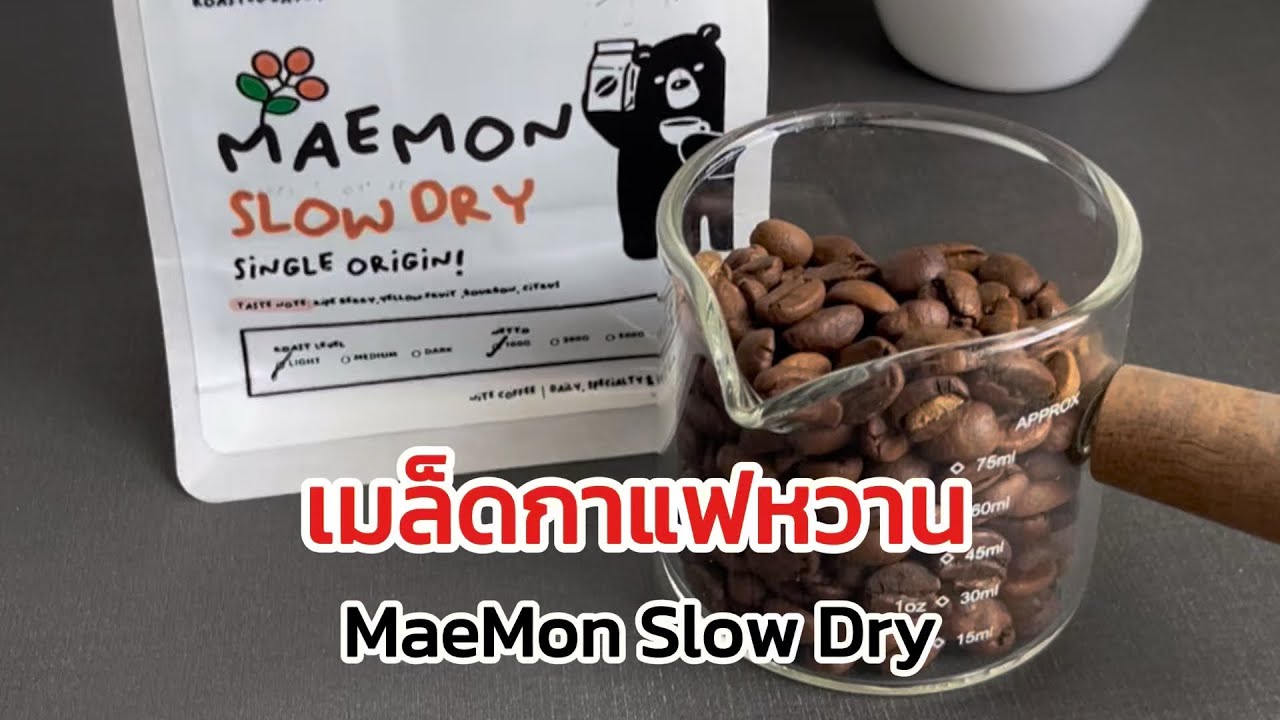 คอกาแฟต้องลอง! MaeMon Slow Dry จาก Nite Coffee - YouTube