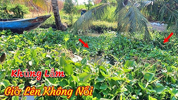 Câu Cá Rô Đồng , Không ngờ điểm câu mới lại gặp phải HÀNG KHỦNG như này lên không nổi@HuyFishingVlog