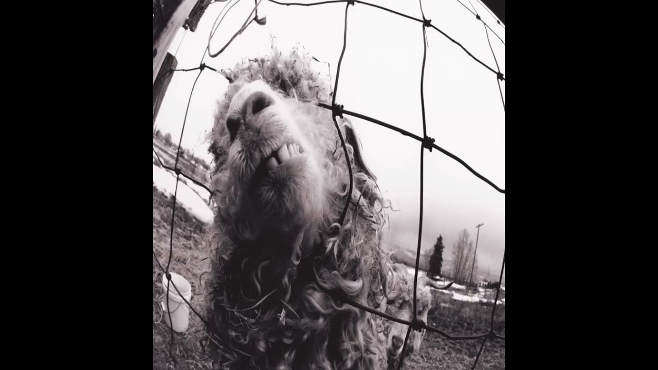 Pearl Jam - Rearviewmirror (Remastered)