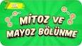 Biyoloji - Üreme ve  Çeşitleri Nedir? Nelerdir ? Ders Notu ve Konu Anlatımı ile ilgili video