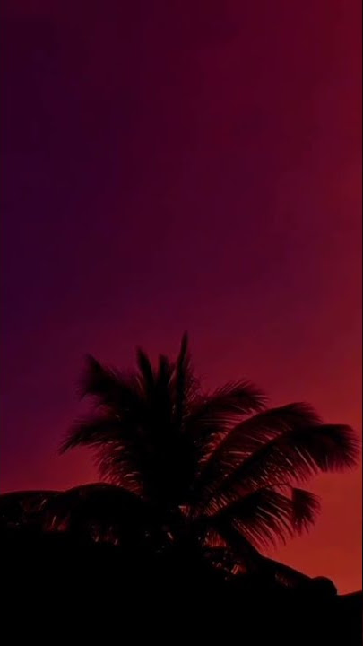 Mentahan - Sam smith Fire on fire 🎵