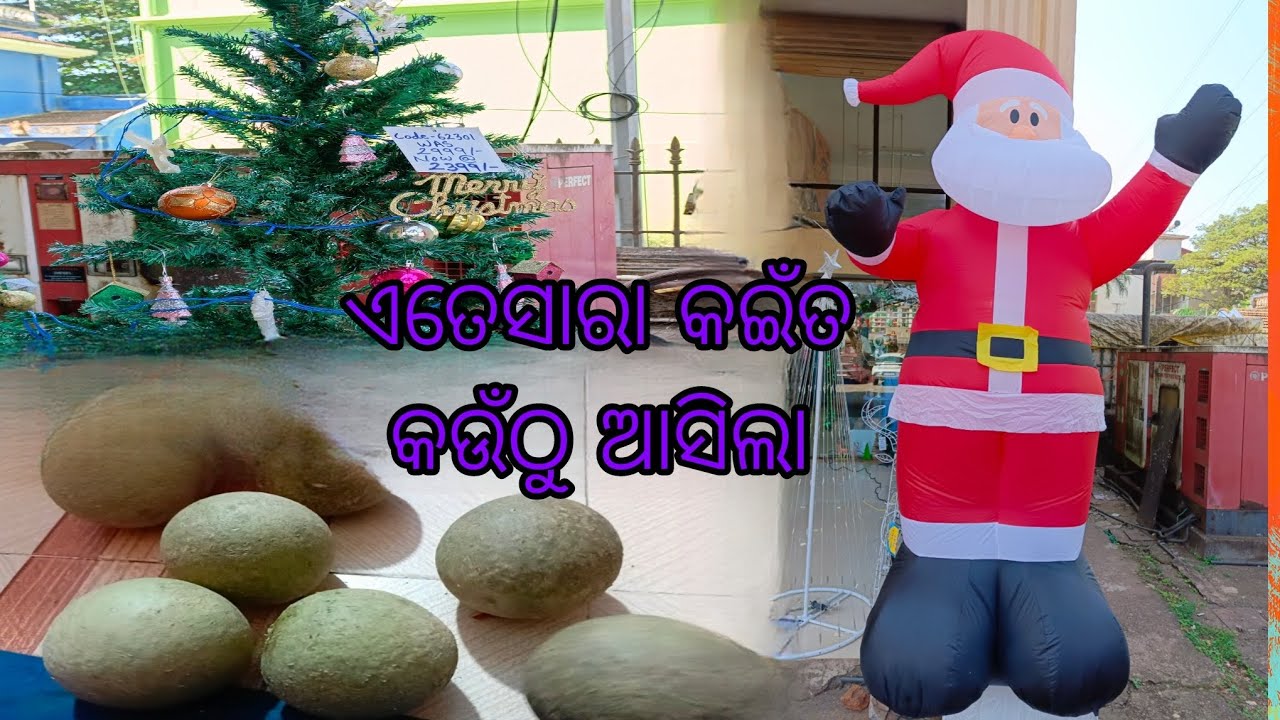 Christmas tree and Santa Claus ll odia vlogs ll Mita Tapan family vlogs
