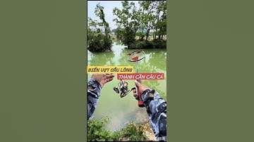 “Cái này mà cũng câu cá được á??? 🐟🏸” #fishing #shorts #cầncâu #funny