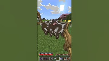 Minecraft Rare skeleton trap