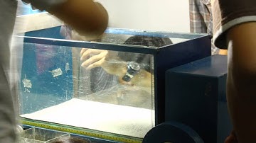 Behind The Scene of Sandbox Modelling