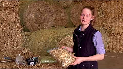 How To Sample Hay