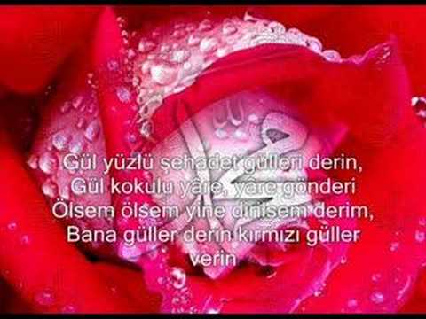 Mustafa Demirci - Güllere Vurgunum