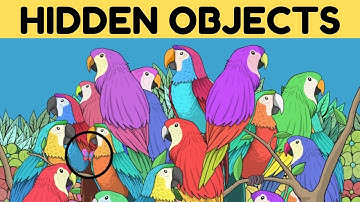 FIND THE HIDDEN OBJECTS IN THESE 10 IMAGES