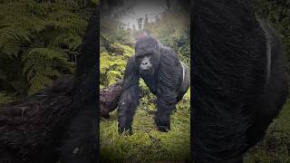 Humans vs Nature: Who’s ACTUALLY Strongest? 💀😂 #facts #science #nature #space #animals #sciencefacts
