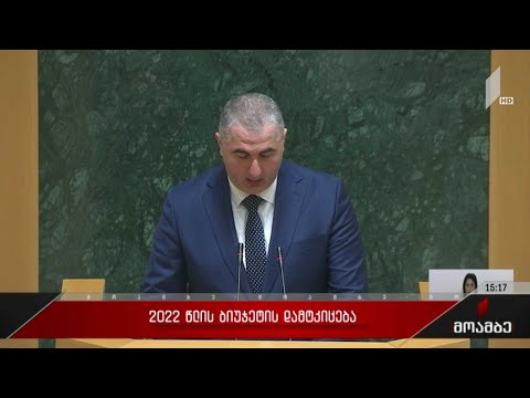 ფინანსთა მინისტრის მოსმენა პარლამენტში