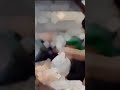 ملايين ايام الزياره خضر عباس لايك اشتراك