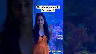 ? Baby Shark in German Aquarium: A Fin-tastic History ?? BabyShark AquariumMagic germany wow