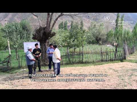 Үйде жасалған сиқырдың фотосы