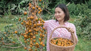 Have you ever seen this fruit in your homeland | Cooking Elephant Ear Sour Soup Recipe