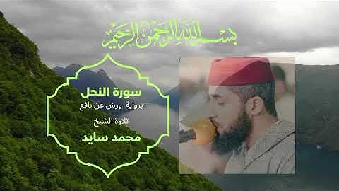 سورة النحل #قرآن #coran #قرآن_كريم #قران_كريم #قارئ_محمد_سايد