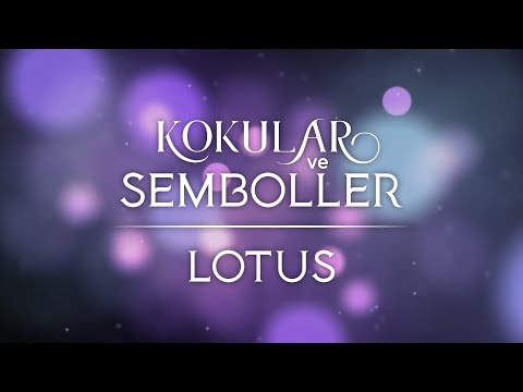 Video: Lotus - Saflığın Sembolü