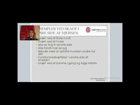 HjerneWebinar om kognitive vanskeligheder