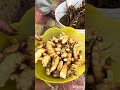 మామిడి అల్లం - Maamidi allam - Ginger variety