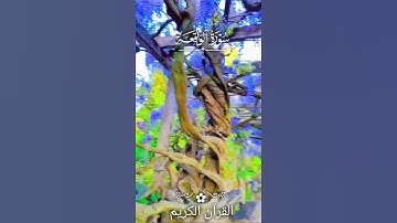 وَالسَّابِقُونَ السَّابِقُونَ 🌸 أُولَٰئِكَ الْمُقَرَّبُونَ 🍃🎧🤍_ سورة الواقعة