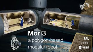 Mori3: a polygon-based modular robot