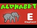 Animal Alphabet Quiz