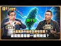 台股再跌千點住套房安全嗎？量縮整理等那一槍何時現？ft.鄭廳宜.王仲麟【理財必修課】EP67阮慕驊 詹璇依 精華 #升息 主動式ETF #被動式ETF #正二 #記憶體 #載板 #被動元件