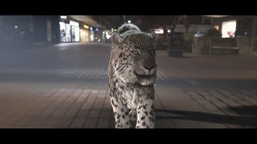 Snow Leopard - Making Of