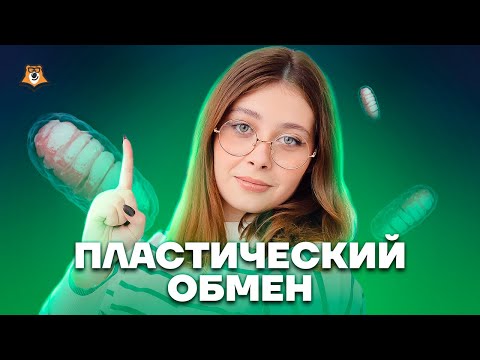 Пластический обмен | Биология ЕГЭ для 10 класса | Умскул